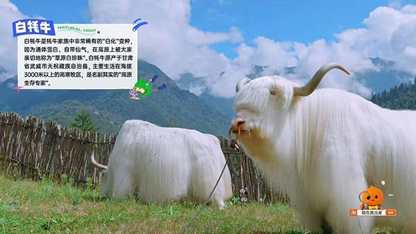 “中国喜剧梦工厂”，给四川加点“好玩”的戏份 跟着《现在就出发4》，解锁明星同款四川之旅(图5)